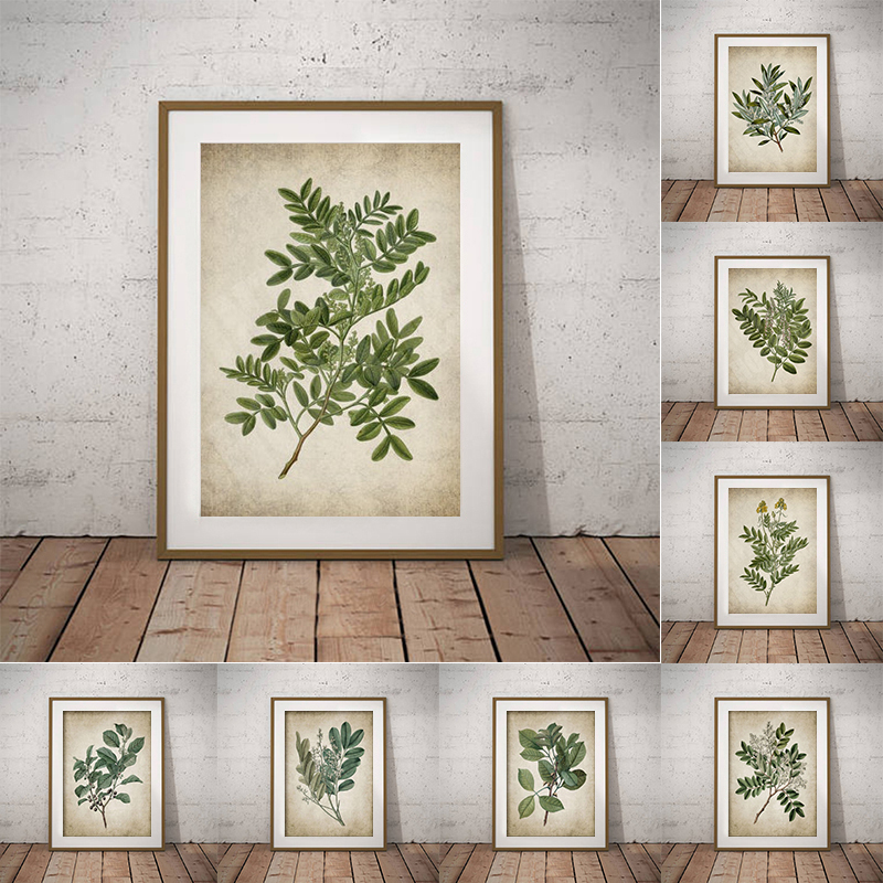 Live Plant Fertilizer - Vintage Green Leaf Botanical Poster Canvas