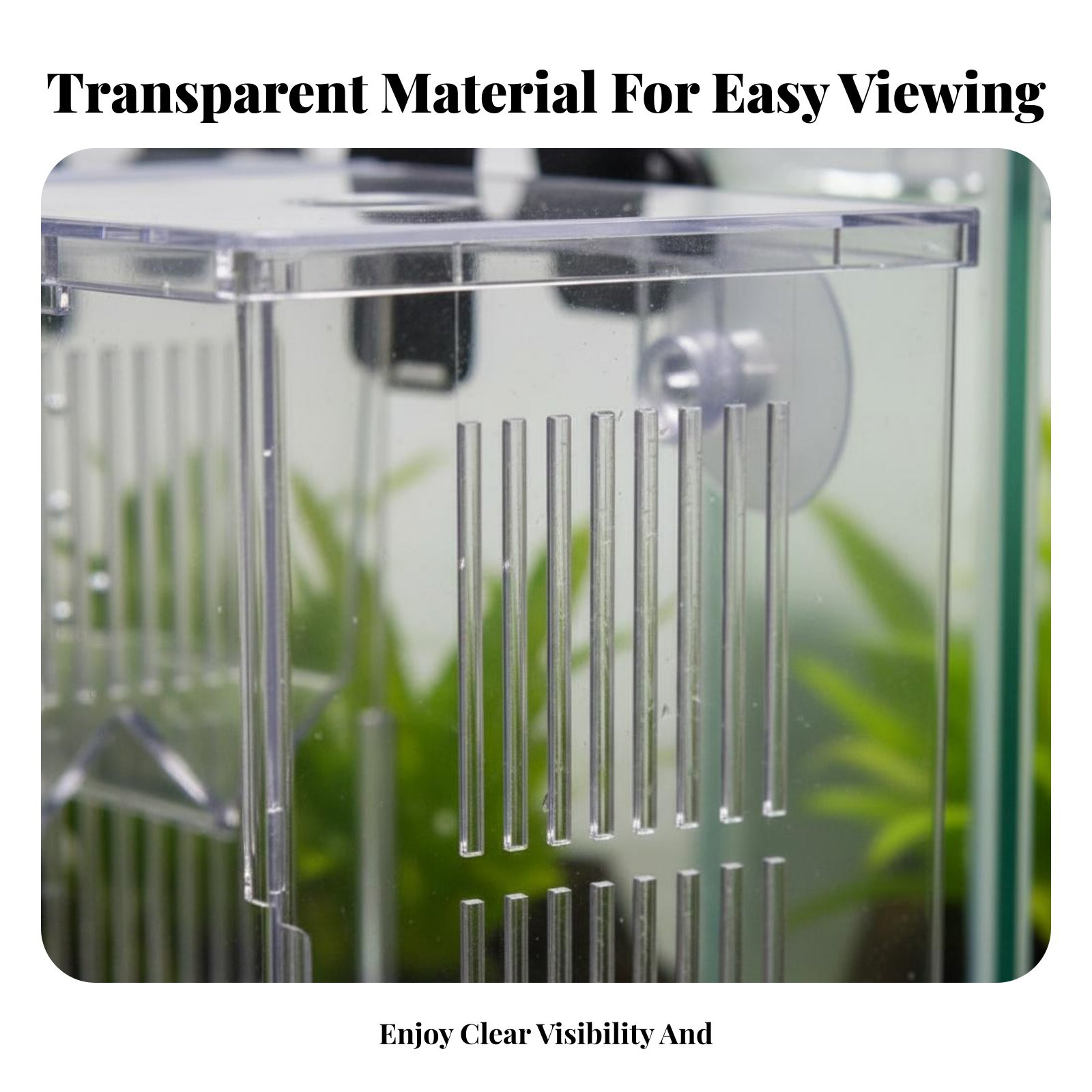Aquatic Habitat Hatchery Box P - Aquarium Fish Usa 评论和价格