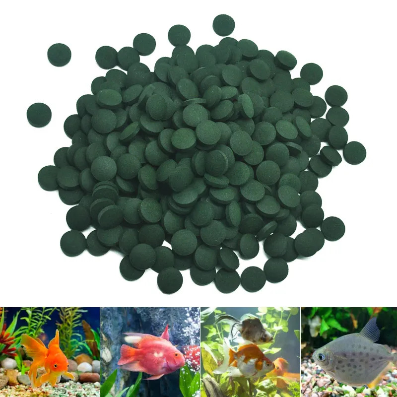 100-3000pc High Purity Spiruli - Aquarium Fish Holiday Food 评论和价格