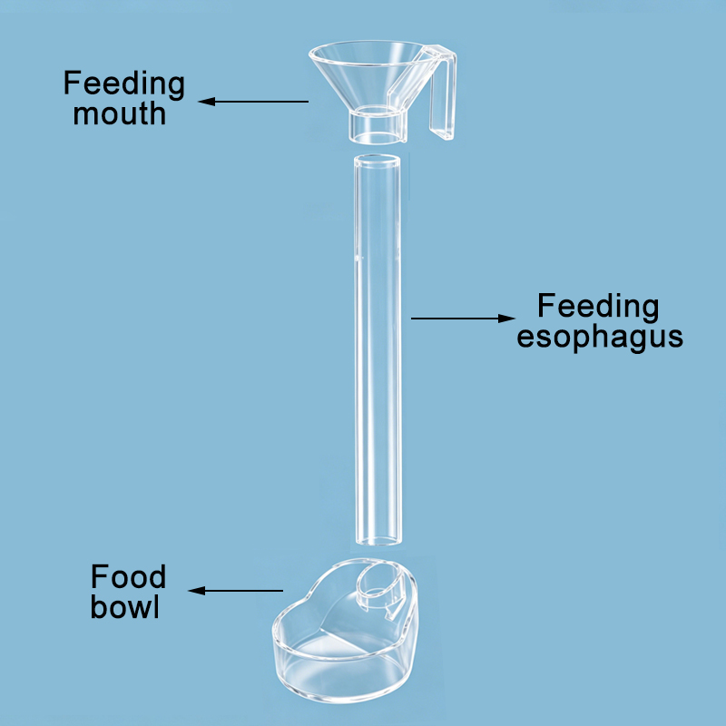 Acrylic Aquarium Fish Feeder T - Aquarium Fish Holiday Food 评论和价格