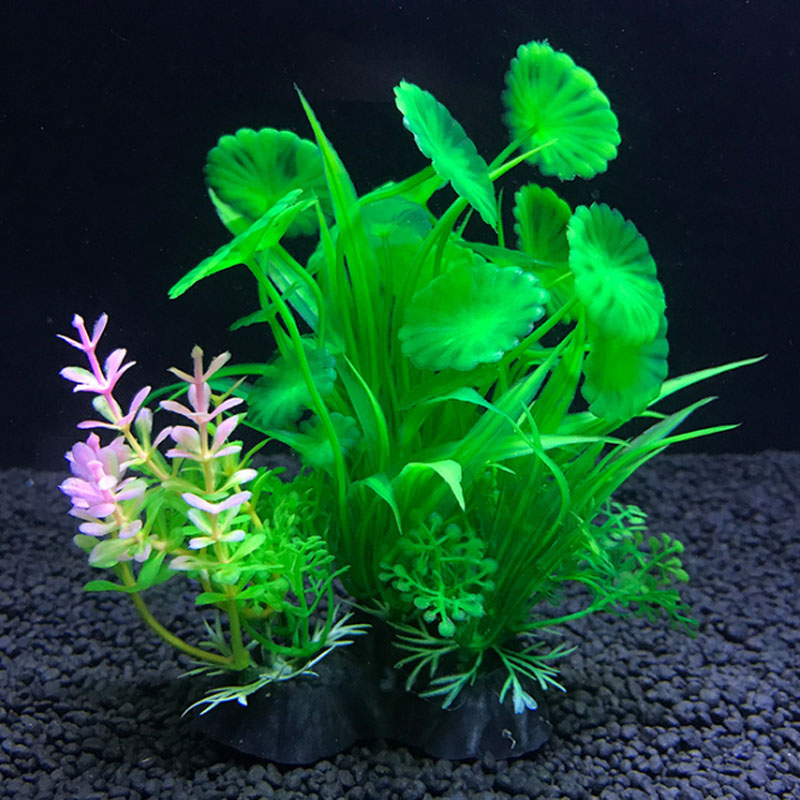Aquarium decoration a variety  - Aquarium Fish Variety 评论和价格