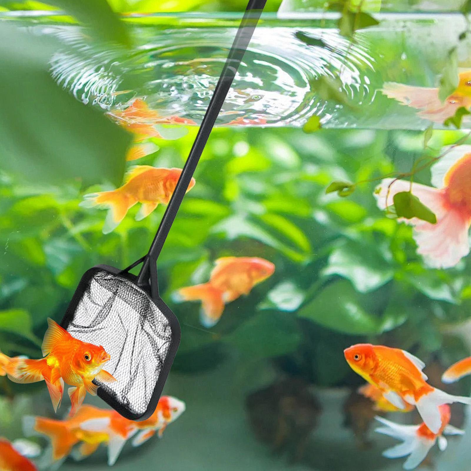 Pool Nets for Cleaning Portabl - Aquarium Fish Items 评论和价格