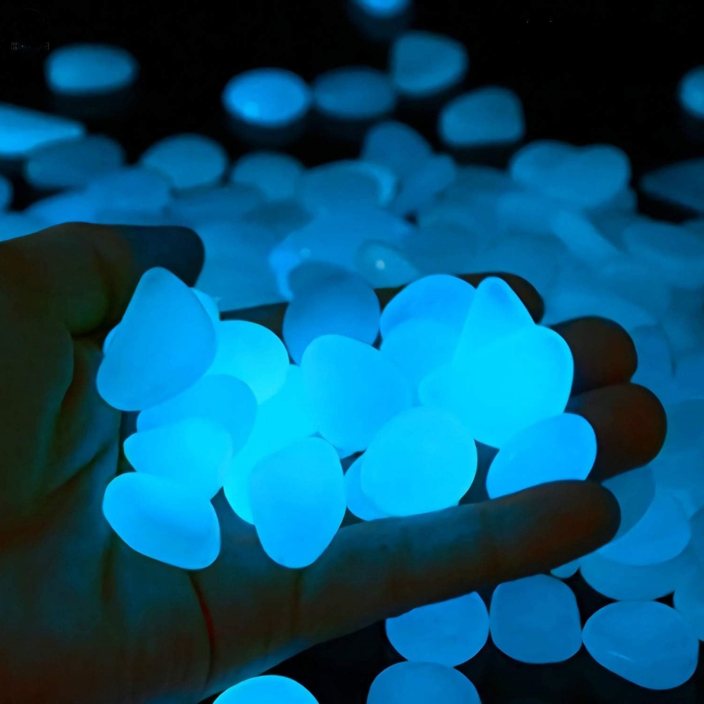 Indoor Outdoor Garden Stones F - Aquarium Fish That Glow In The Dark 评论和价格