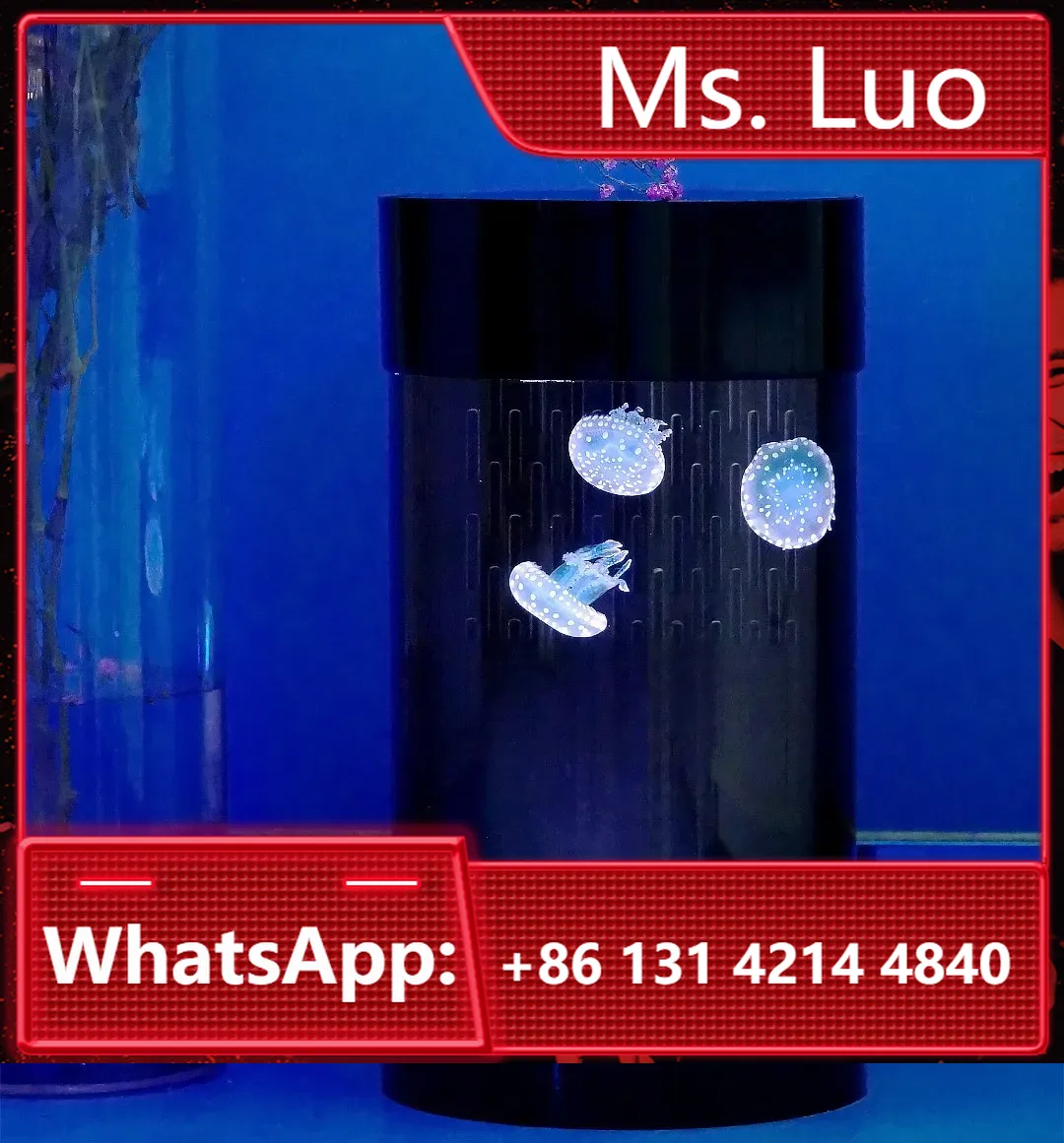 Best Amazon Sales Jellyfish Ta - Aquarium Fish In Amazon 评论和价格