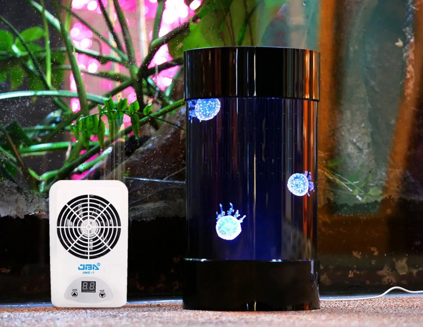 Best Amazon Sales Jellyfish Ta - Aquarium Fish In Amazon 评论和价格