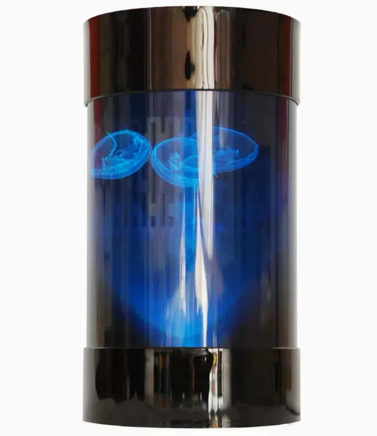 Best Amazon Sales Jellyfish Ta - Aquarium Fish In Amazon 评论和价格