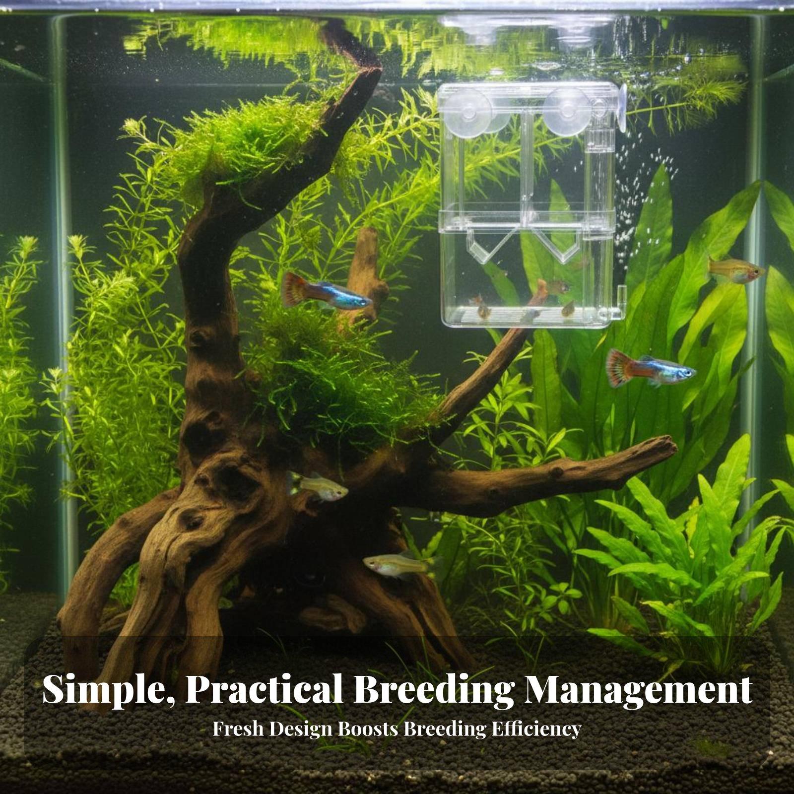 Double Layer Aquarium Breeding - Aquarium Fish Usa 评论和价格