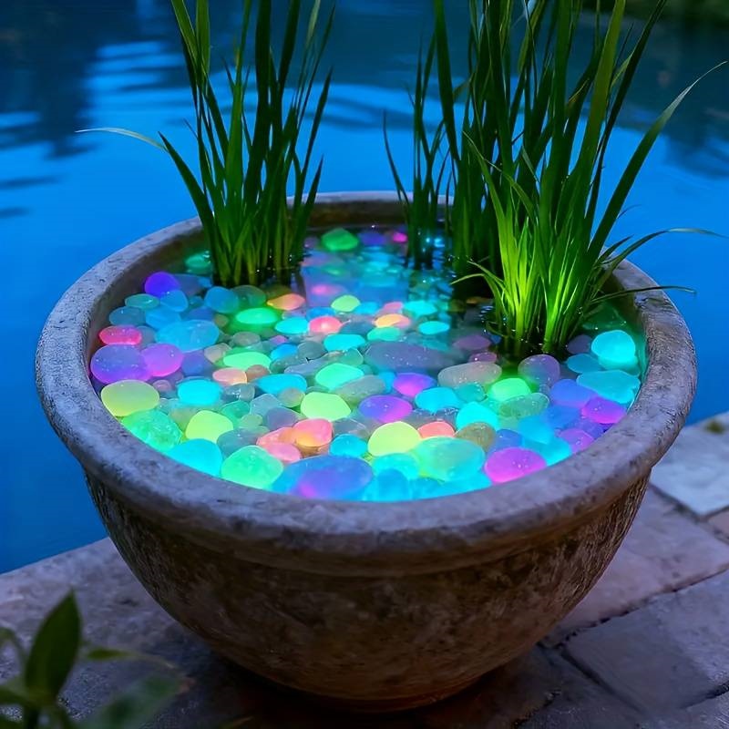 200Pcs Glow in the Dark Garden - Aquarium Fish That Glow In The Dark 评论和价格