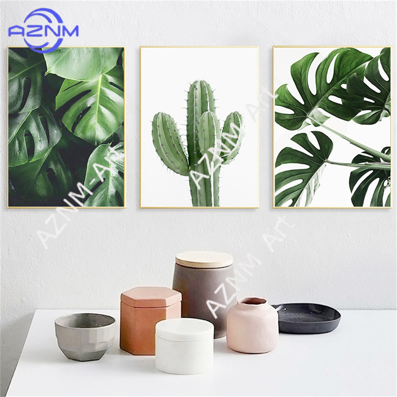 Green Plant Painting Monstera  - Live Plant Fertilizer 评论和价格