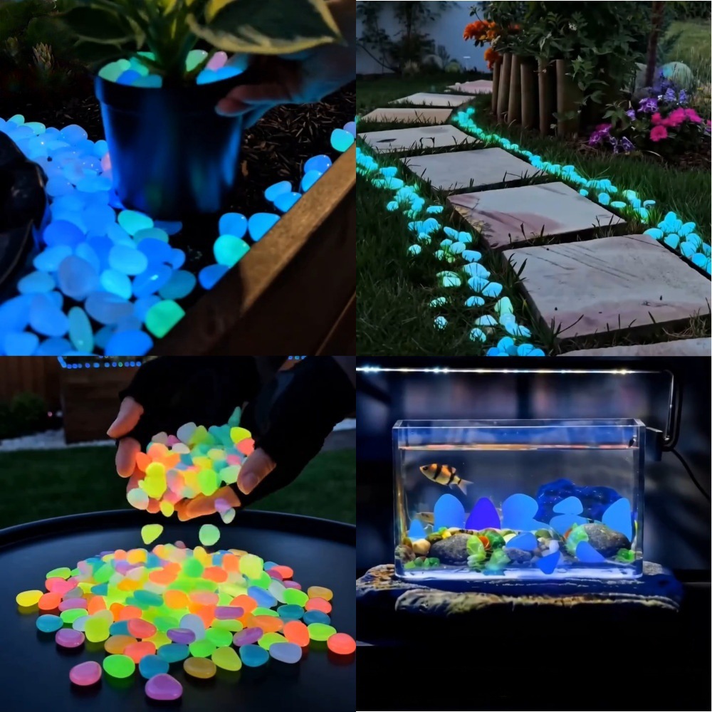 Colorful Glow In The Dark Lumi - Aquarium Fish Items 评论和价格