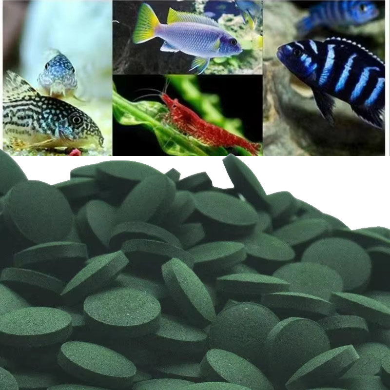 50/100/300/500pcs Spirulina Ta - Aquarium Fish Holiday Food 评论和价格
