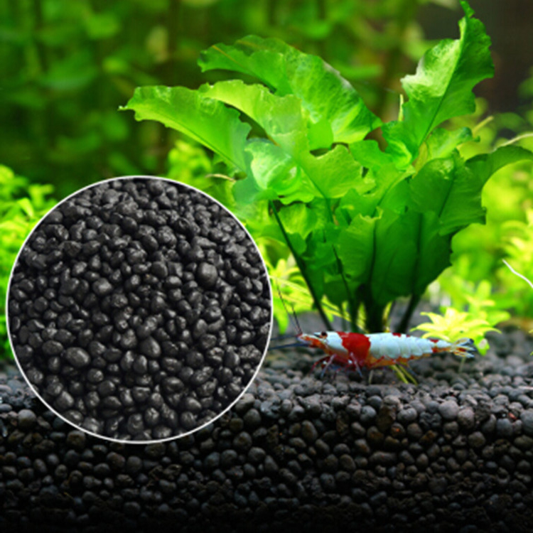 Aquarium Plant Seeds Soil Fish - Aquarium Fish Items 评论和价格