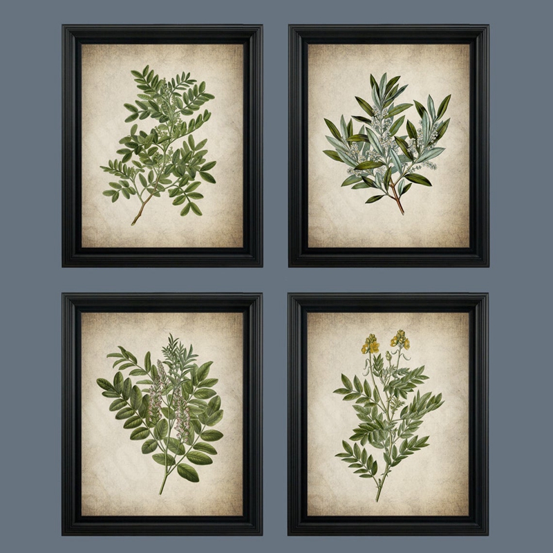 Vintage Green Leaf Botanical P - Live Plant Fertilizer 评论和价格