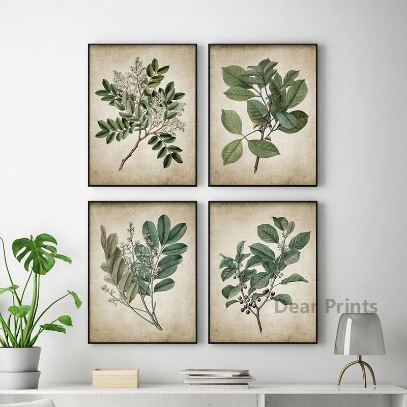 Vintage Green Leaf Botanical P - Live Plant Fertilizer 评论和价格