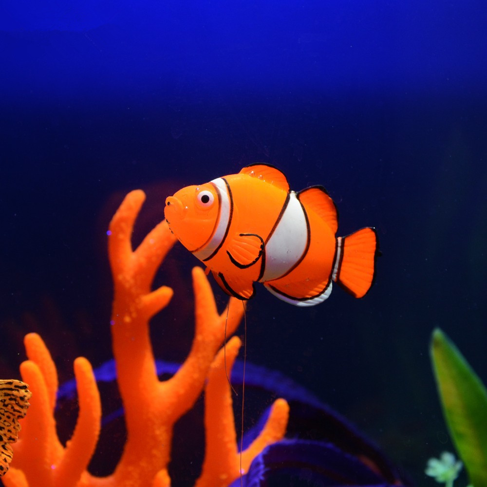 Glow in the Dark Luminous Sili - Aquarium Fish That Glow In The Dark 评论和价格