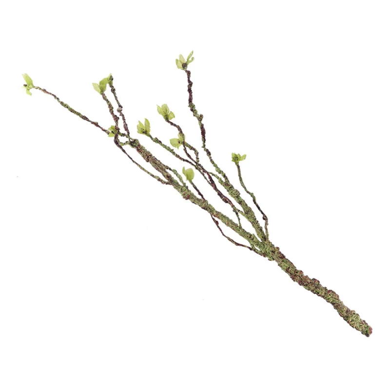 Vines Decor Climbing Branches  - Aquarium Fish Items 评论和价格