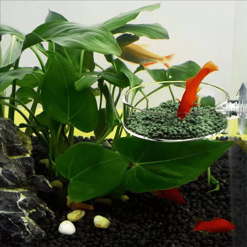 Transparent Acrylic Transparen - Aquarium Fish Holiday Food 评论和价格
