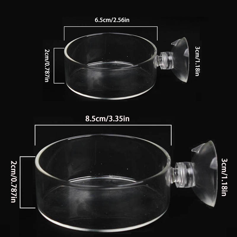 Transparent Acrylic Transparen - Aquarium Fish Holiday Food 评论和价格